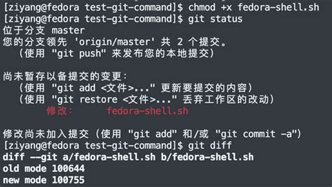 git update index chmod|Git .